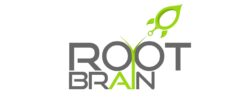 ルートブレイン | Rootbrain